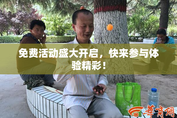 免费活动盛大开启，快来参与体验精彩！
