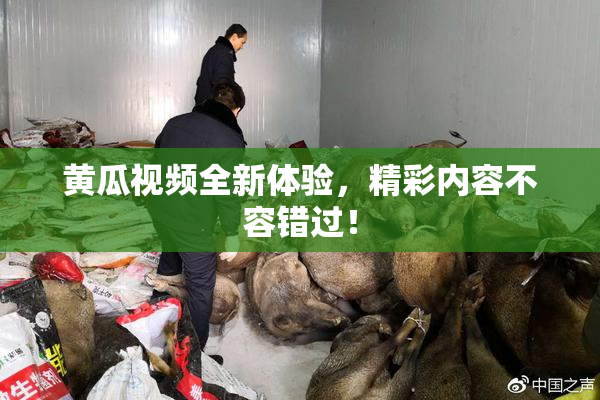 黄瓜视频全新体验，精彩内容不容错过！