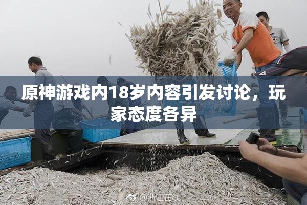 原神游戏内18岁内容引发讨论，玩家态度各异