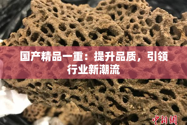 国产精品一重：提升品质，引领行业新潮流