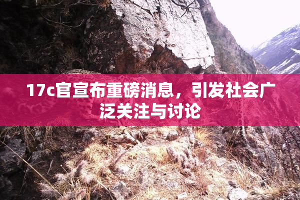 17c官宣布重磅消息，引发社会广泛关注与讨论
