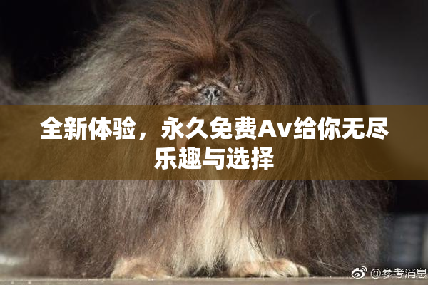 全新体验，永久免费Av给你无尽乐趣与选择