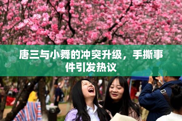 唐三与小舞的冲突升级，手撕事件引发热议