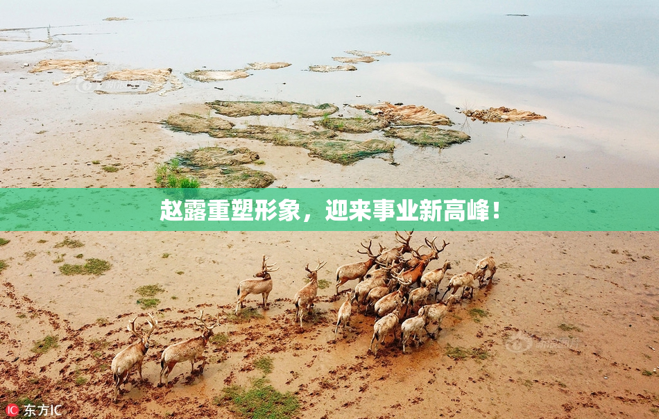 赵露重塑形象，迎来事业新高峰！