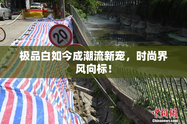 极品白如今成潮流新宠，时尚界风向标！