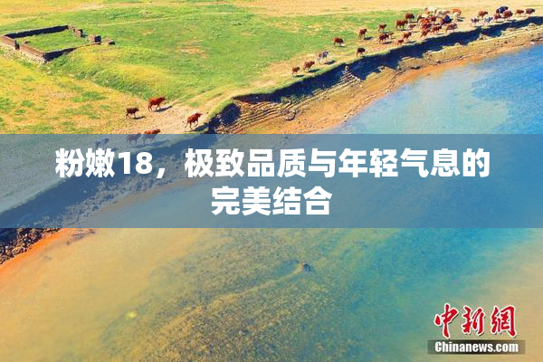 粉嫩18，极致品质与年轻气息的完美结合