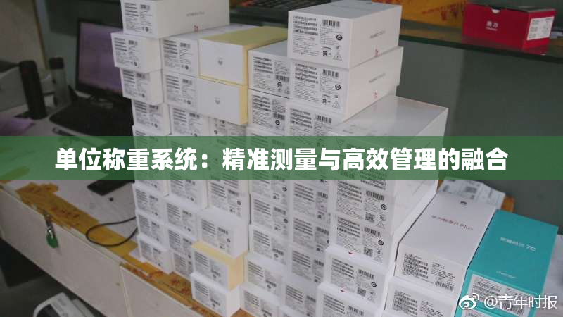 单位称重系统：精准测量与高效管理的融合
