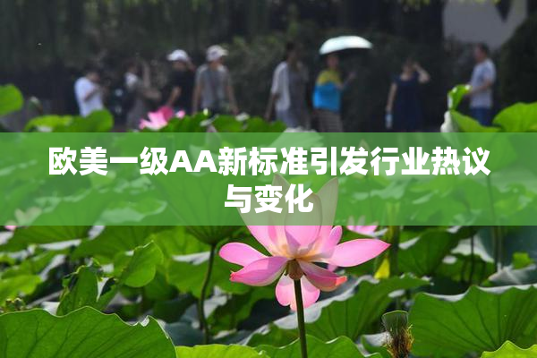 欧美一级AA新标准引发行业热议与变化