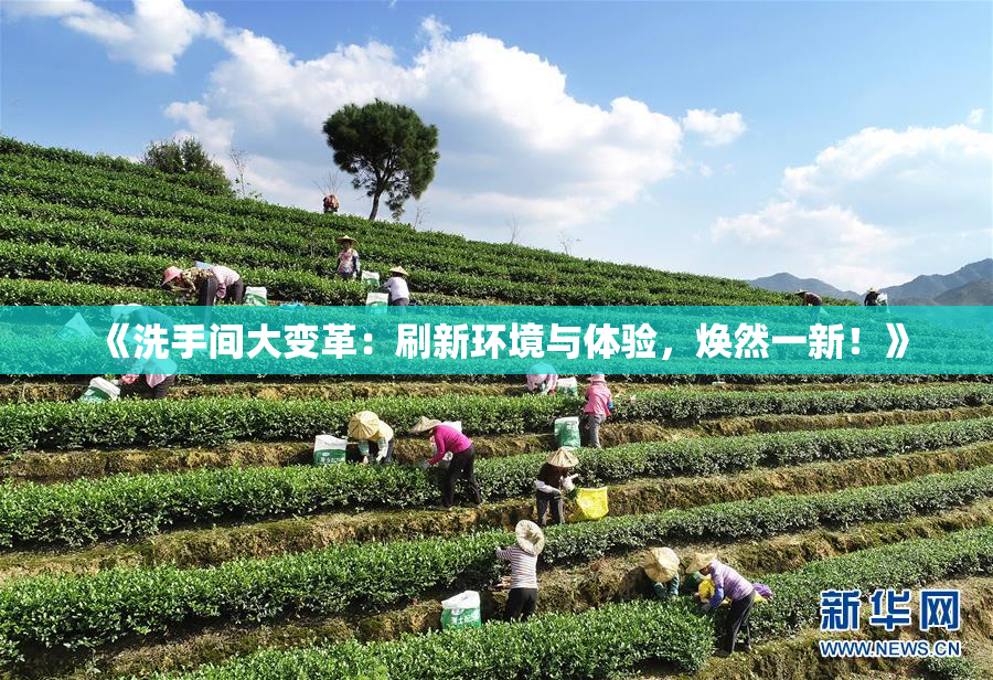 《洗手间大变革：刷新环境与体验，焕然一新！》