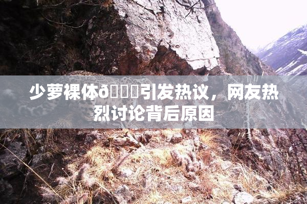 少萝裸体🔞引发热议，网友热烈讨论背后原因