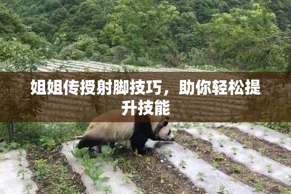 姐姐传授射脚技巧，助你轻松提升技能