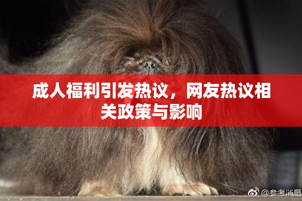 成人福利引发热议，网友热议相关政策与影响