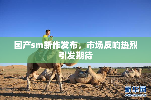 国产sm新作发布，市场反响热烈引发期待
