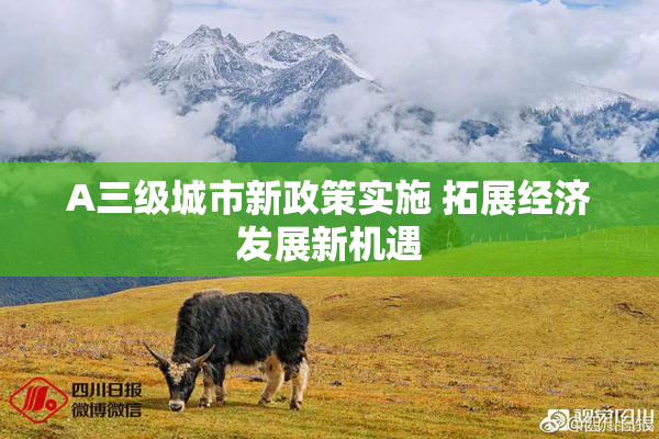 A三级城市新政策实施 拓展经济发展新机遇