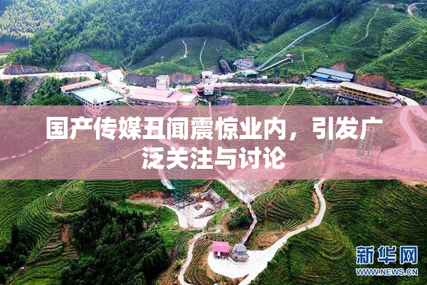 国产传媒丑闻震惊业内，引发广泛关注与讨论