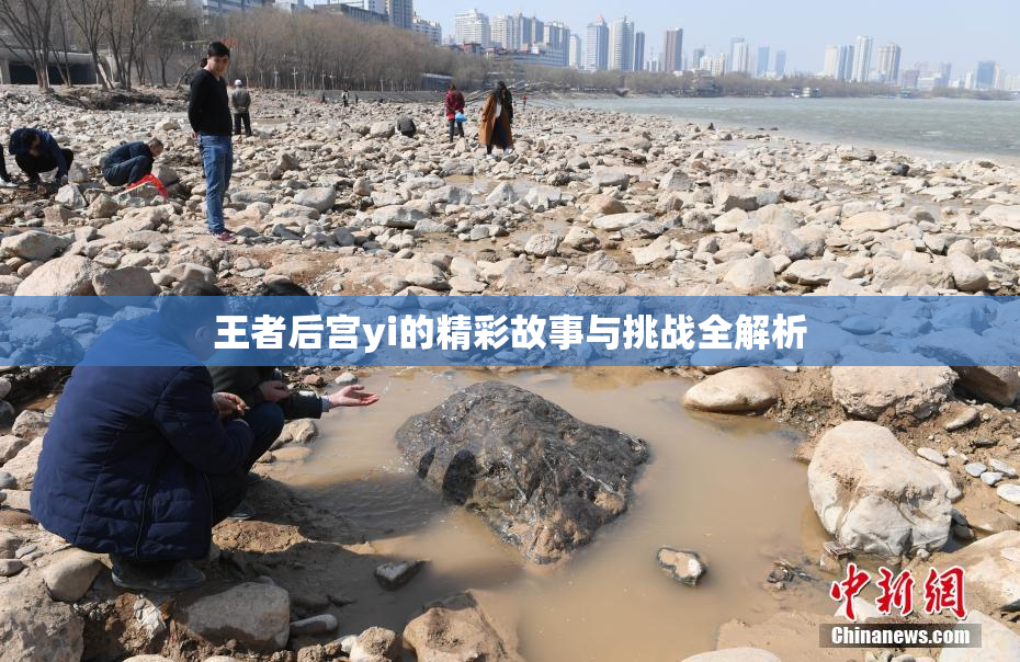 王者后宫yi的精彩故事与挑战全解析