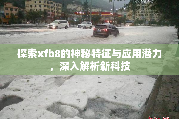 探索xfb8的神秘特征与应用潜力，深入解析新科技