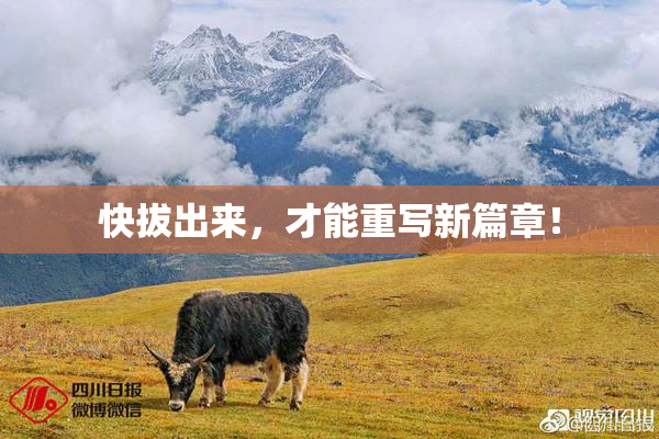 快拔出来，才能重写新篇章！