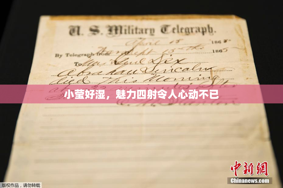 小莹好湿，魅力四射令人心动不已