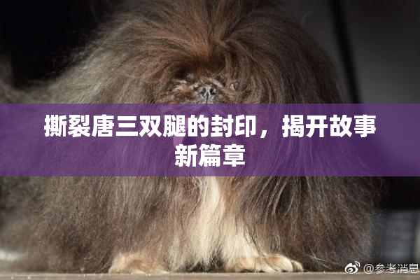 撕裂唐三双腿的封印，揭开故事新篇章