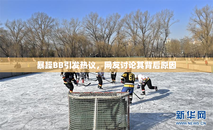 暴躁BB引发热议，网友讨论其背后原因