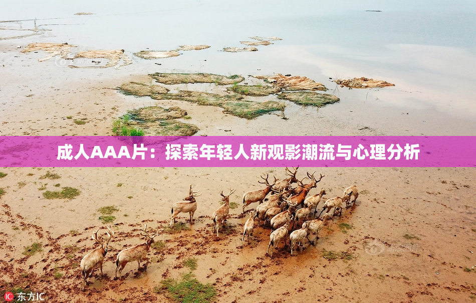 成人AAA片：探索年轻人新观影潮流与心理分析