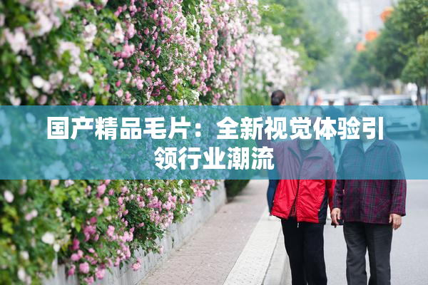 国产精品毛片：全新视觉体验引领行业潮流
