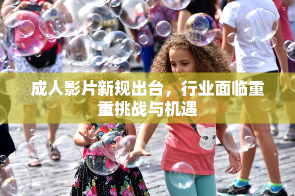 成人影片新规出台，行业面临重重挑战与机遇