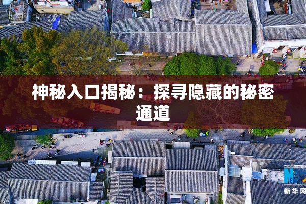 神秘入口揭秘：探寻隐藏的秘密通道