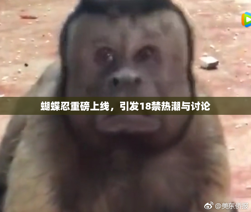 蝴蝶忍重磅上线，引发18禁热潮与讨论