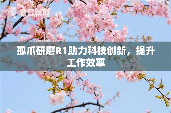 孤爪研磨R1助力科技创新，提升工作效率