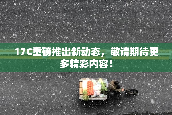 17C重磅推出新动态，敬请期待更多精彩内容！