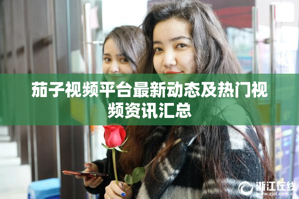 茄子视频平台最新动态及热门视频资讯汇总