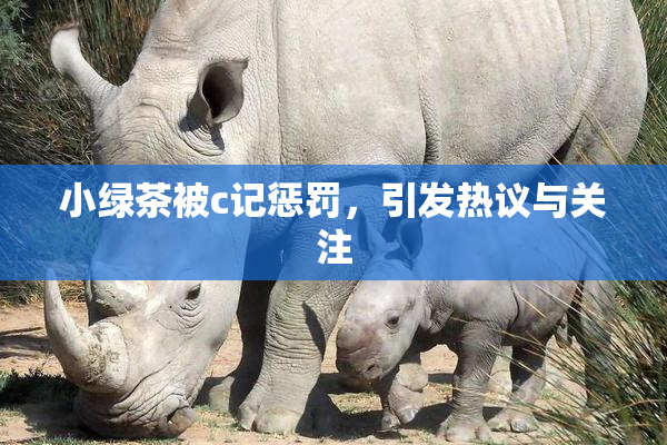 小绿茶被c记惩罚，引发热议与关注