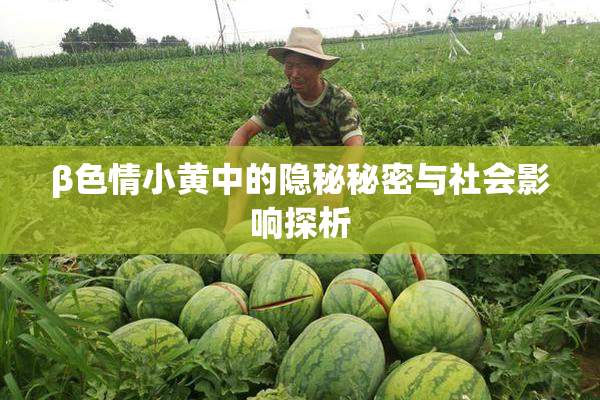 β色情小黄中的隐秘秘密与社会影响探析