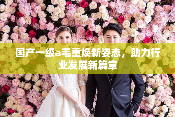 国产一级a毛重焕新姿态，助力行业发展新篇章