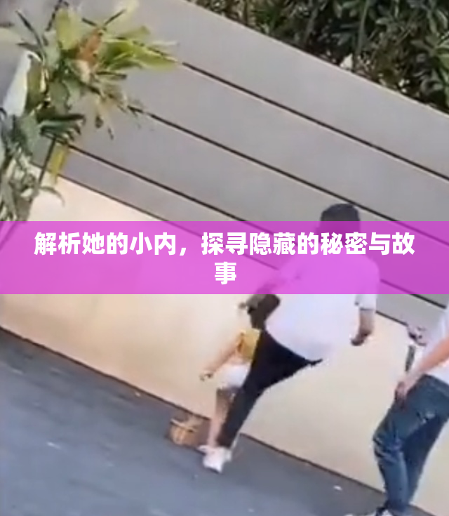 解析她的小内，探寻隐藏的秘密与故事