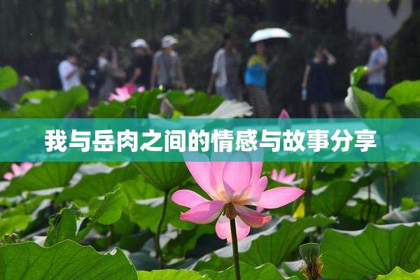 我与岳肉之间的情感与故事分享