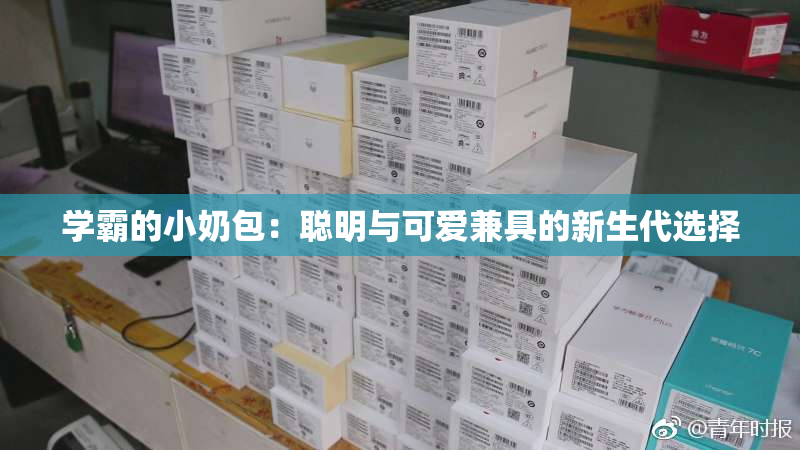 学霸的小奶包：聪明与可爱兼具的新生代选择
