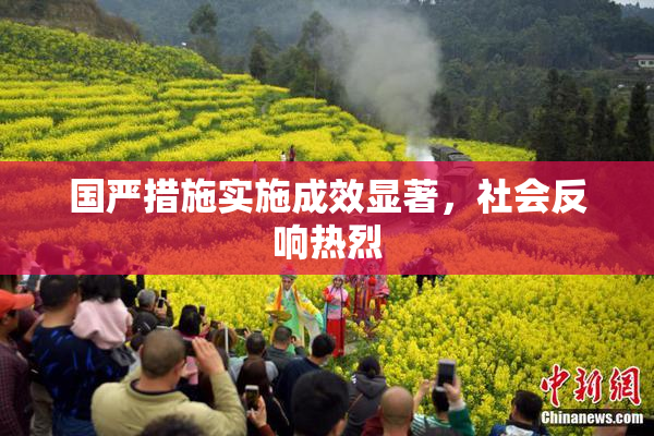 国严措施实施成效显著，社会反响热烈