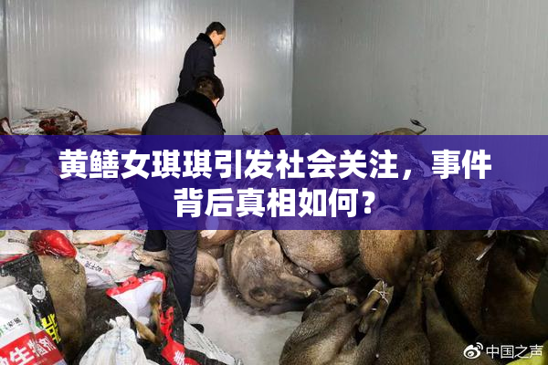 黄鳝女琪琪引发社会关注，事件背后真相如何？