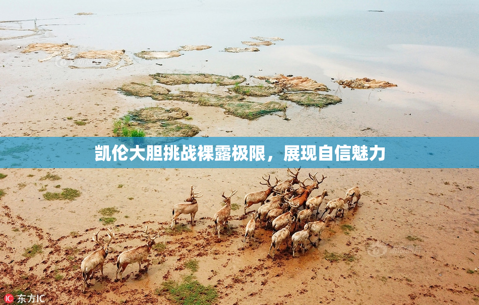 凯伦大胆挑战裸露极限，展现自信魅力