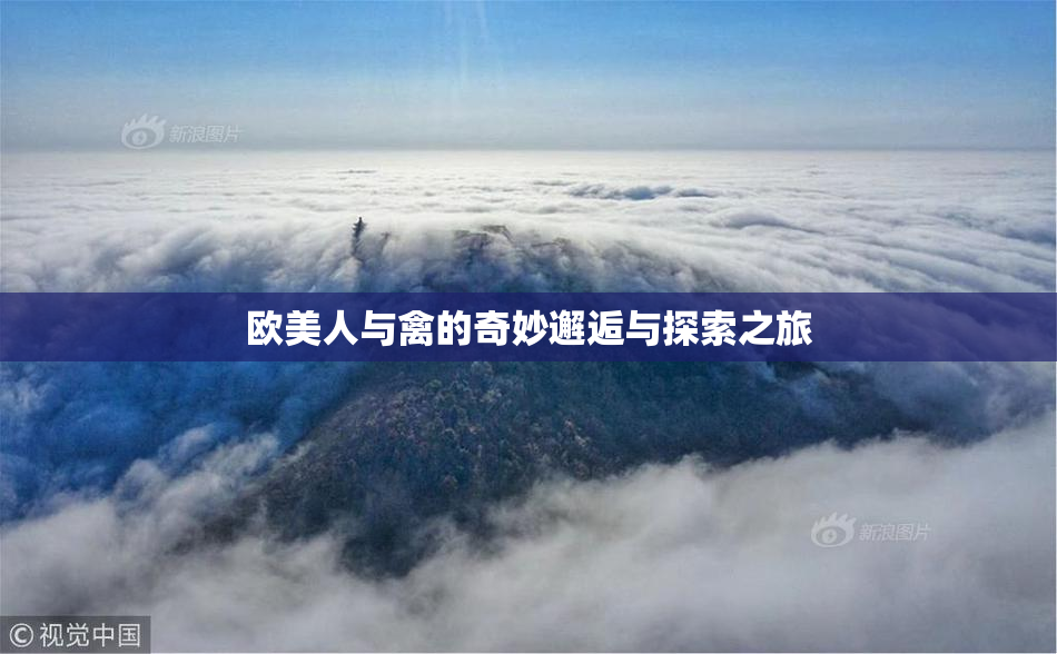 欧美人与禽的奇妙邂逅与探索之旅