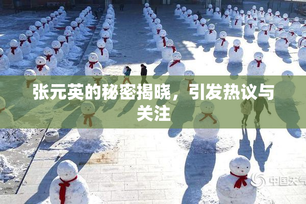张元英的秘密揭晓，引发热议与关注