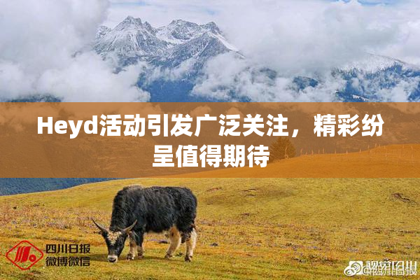 Heyd活动引发广泛关注，精彩纷呈值得期待