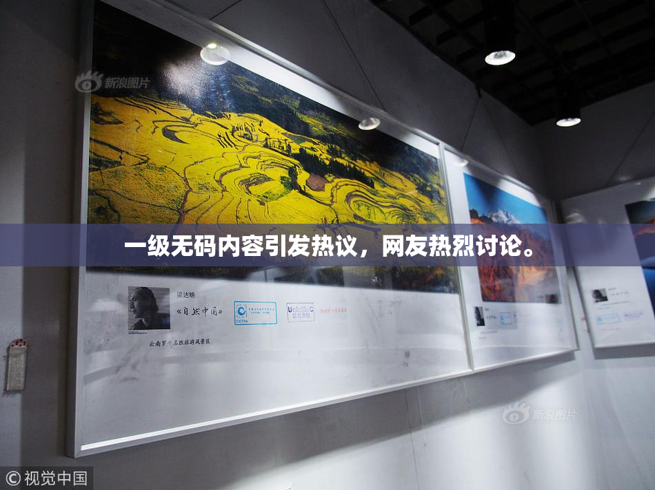 一级无码内容引发热议，网友热烈讨论。