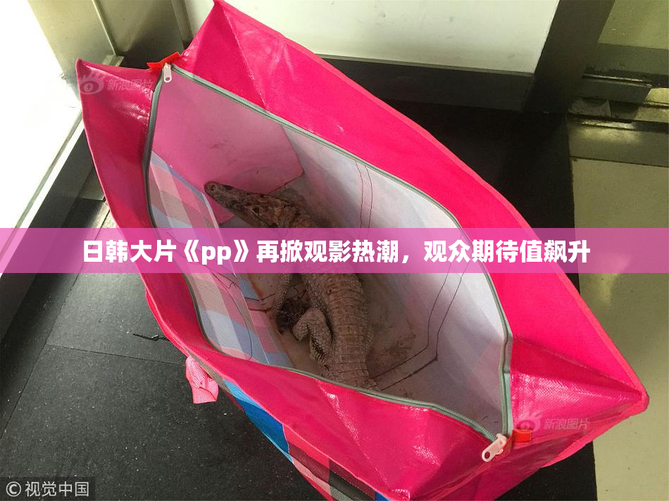 日韩大片《pp》再掀观影热潮，观众期待值飙升