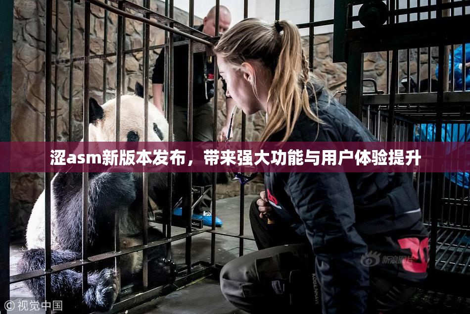 涩asm新版本发布，带来强大功能与用户体验提升