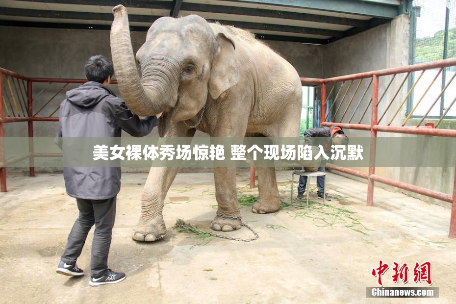 美女裸体秀场惊艳 整个现场陷入沉默