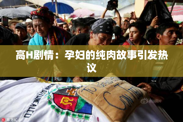 高H剧情：孕妇的纯肉故事引发热议